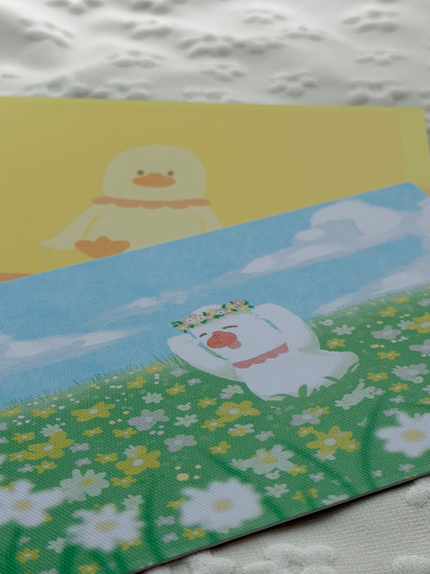 四寶角色圖✨套裝組合