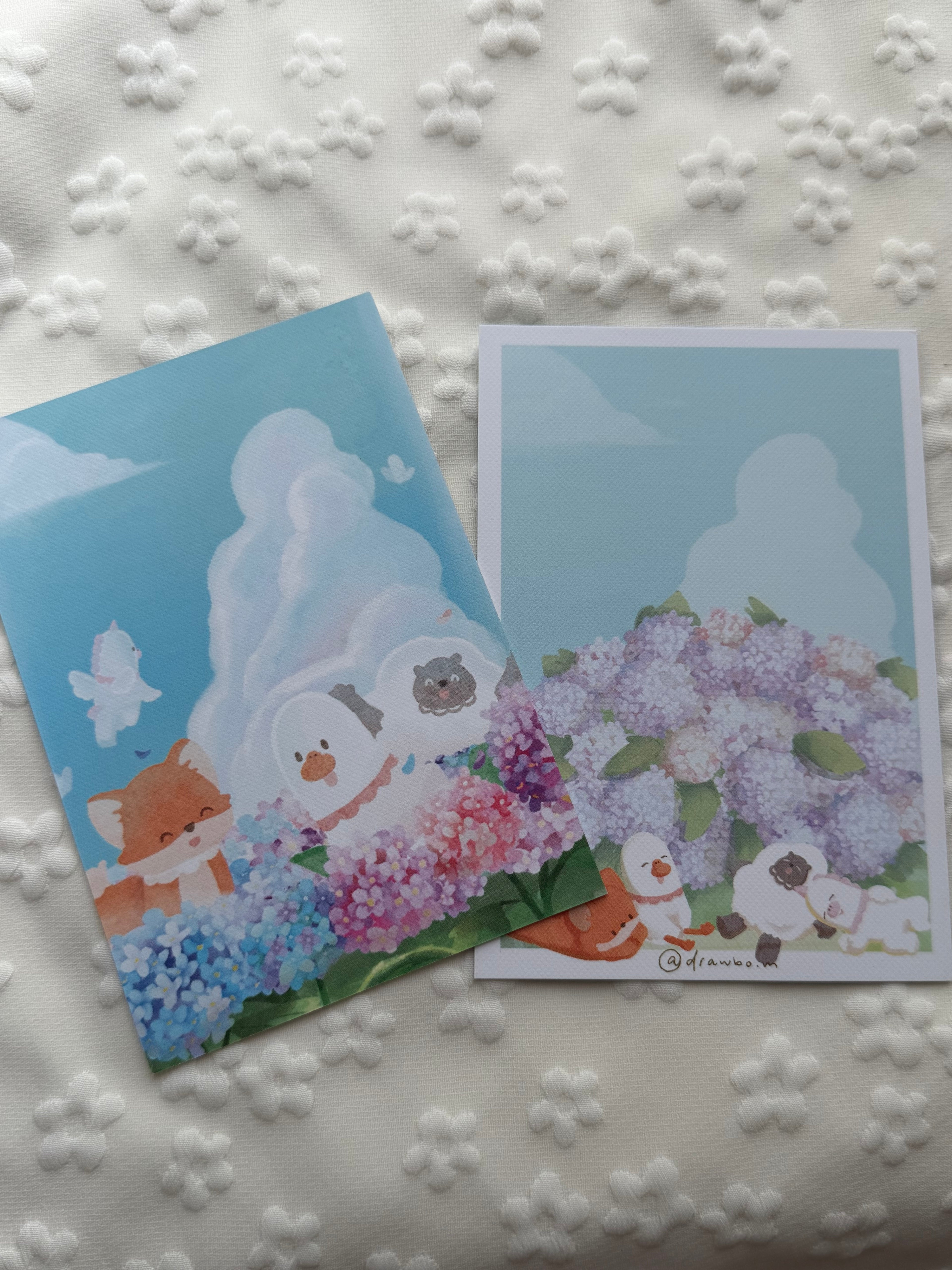 繡球花 (Postcard)