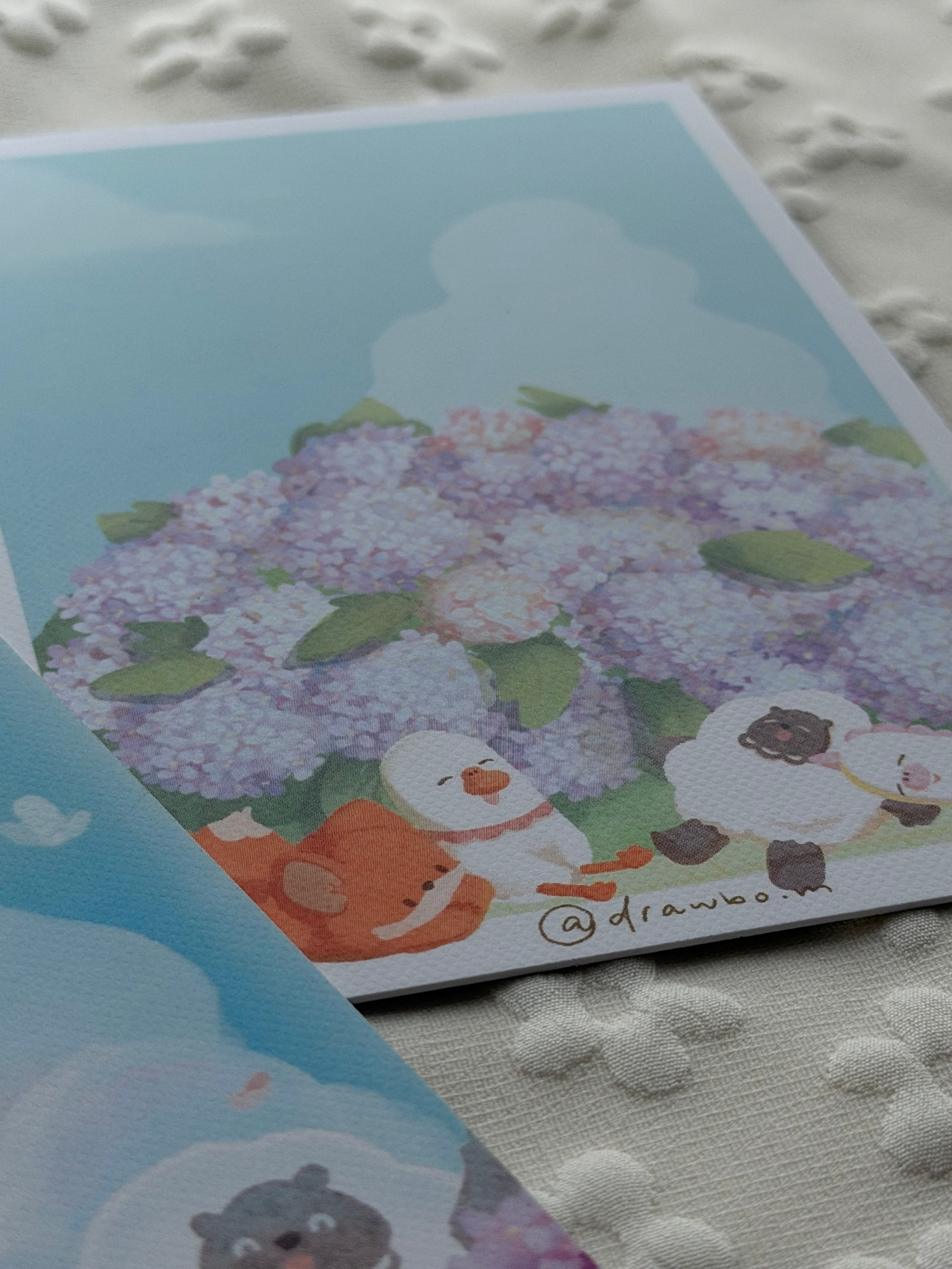 繡球花 (Postcard)