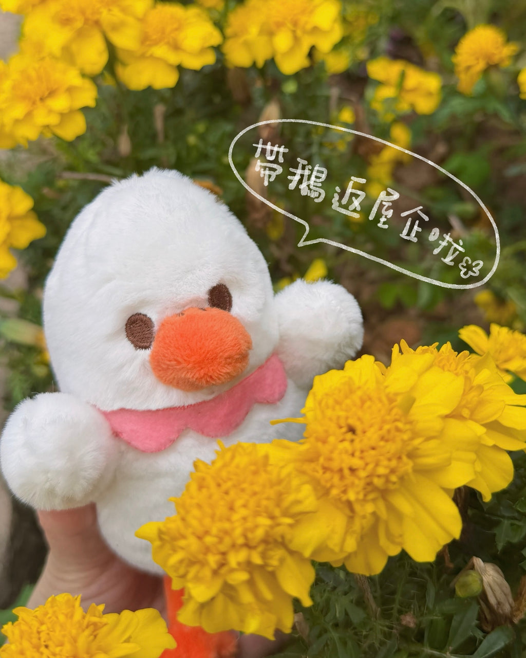 鵝寶毛絨公仔